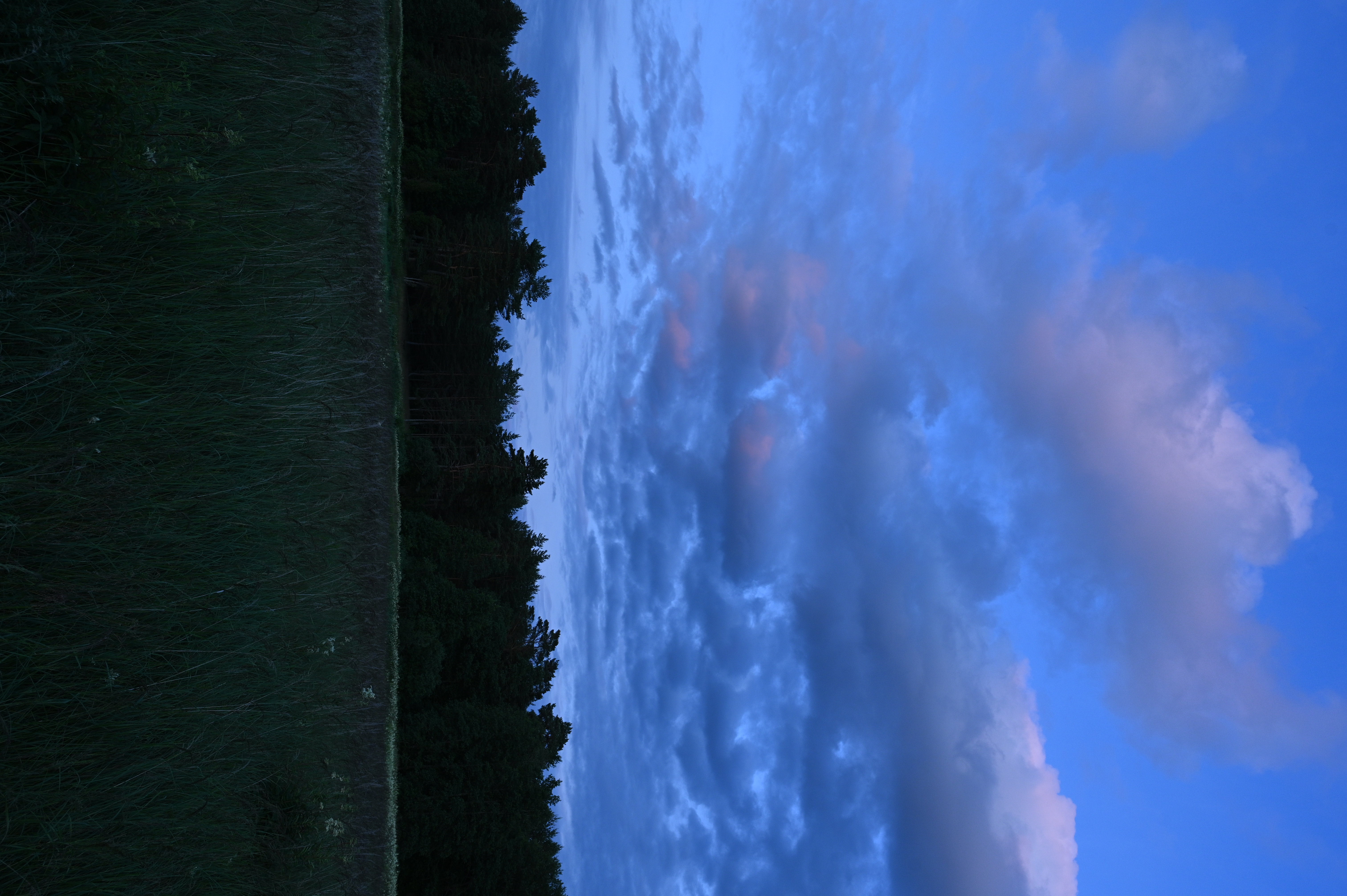 2025/07/09-14 - trip/DSC_0126.JPG